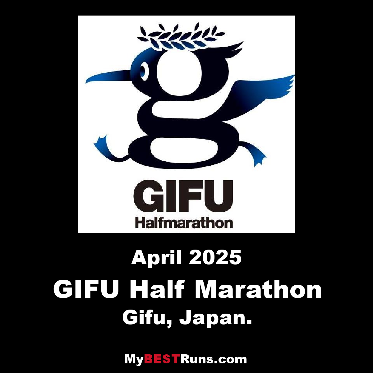 Gifu Half Marathon