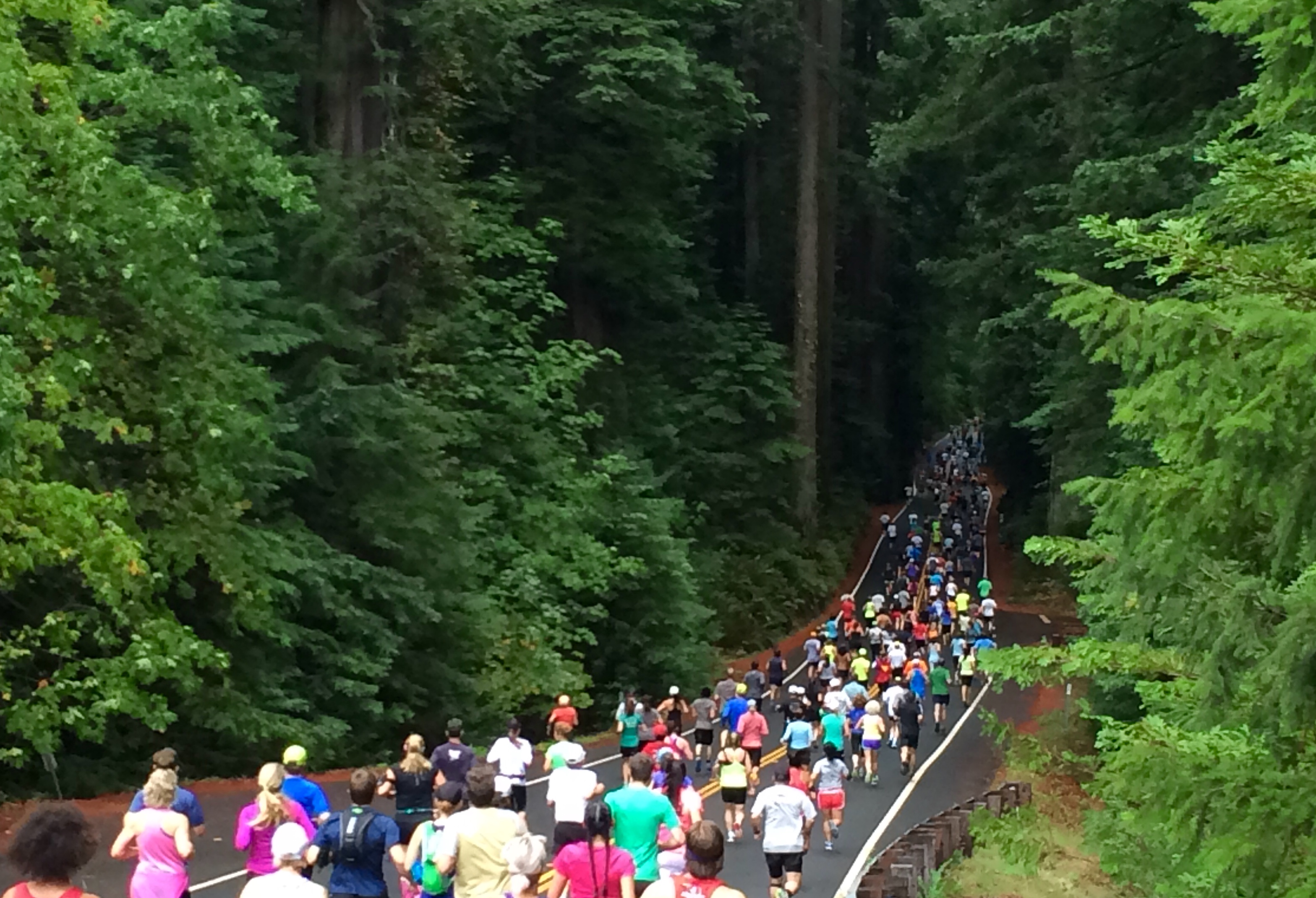 Humboldt Redwood Marathon & Half Marathon