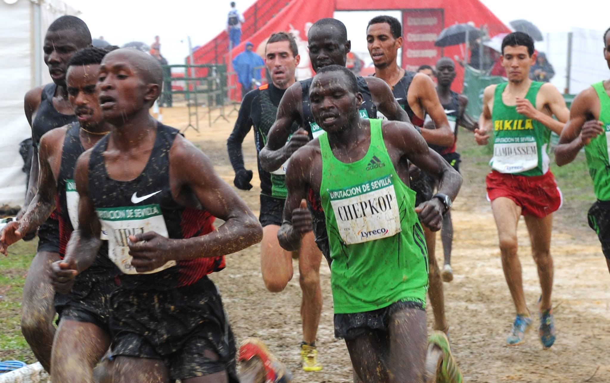 Cross internacional de Italica