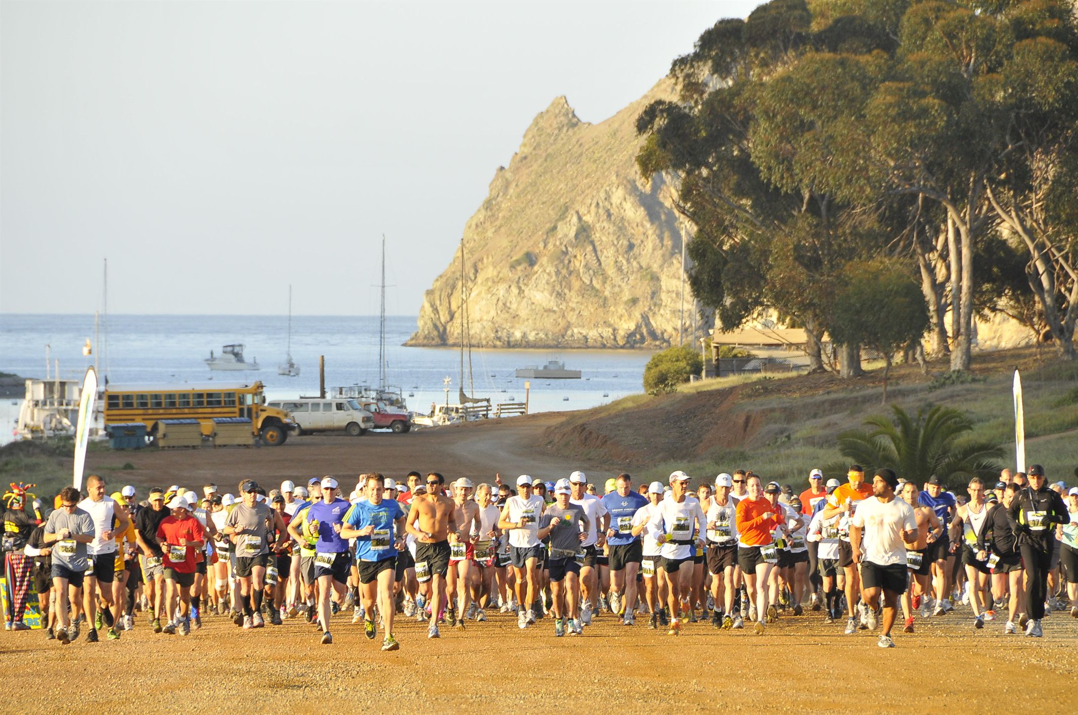 Catalina Island Marathon Catalina island, USA 3/9/2024 My BEST