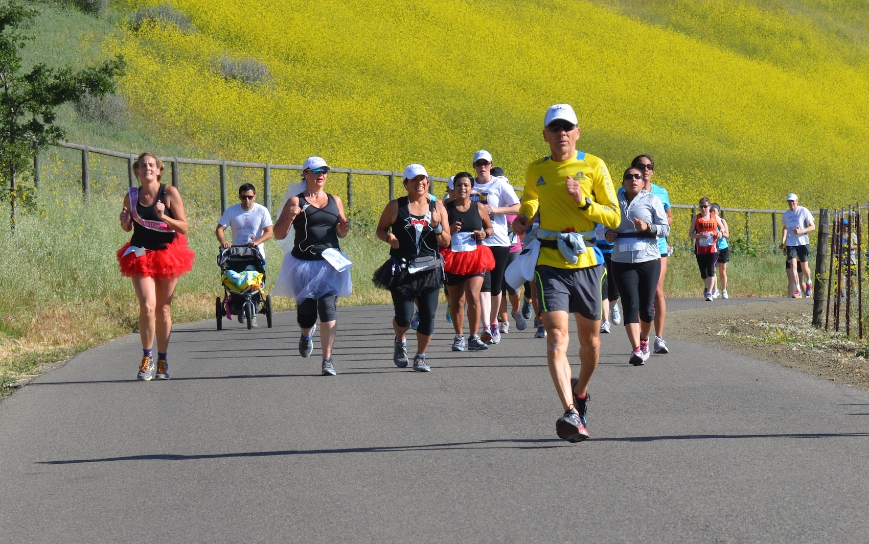 Santa Barbara Wine Country Half Marathon St. Ynez, CA 5/11/2024