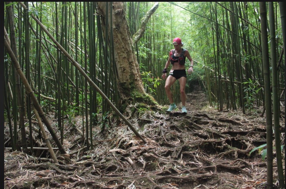Hurt 100 Mile Endurance run Race Results Honolulu, Hawaii 1/13/2024