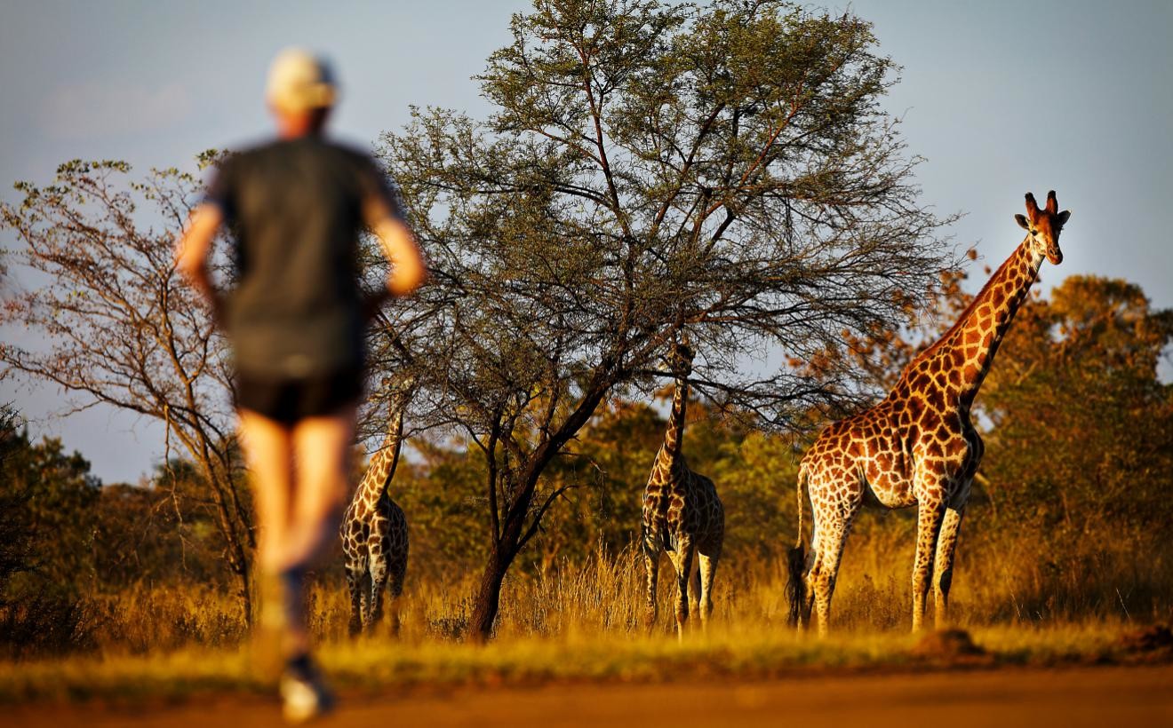 The Big Five Marathon in South Africa is held among the wildlife of the African savannah.