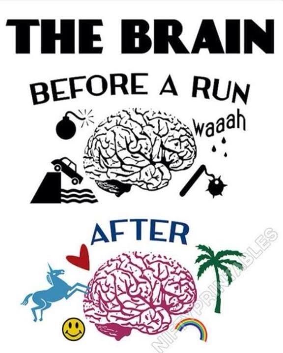 What Happens In Your Brain While You Run